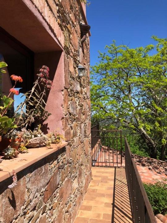 Bed And Breakfast La Maison De Nathalie Les Mayons Esterno foto