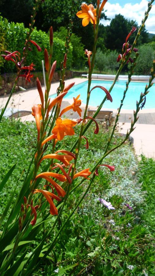 Bed And Breakfast La Maison De Nathalie Les Mayons Esterno foto